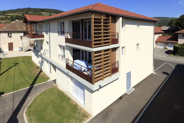 2010 ARPEC La petite marche  Colombe CH08-057 PHOTEC (1)