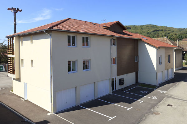 2010 ARPEC La petite marche  Colombe CH08-057 PHOTEC (3)