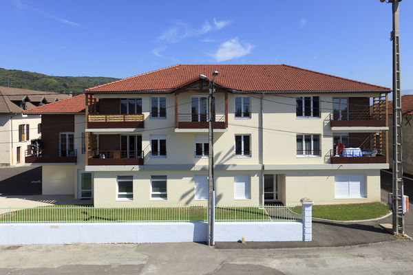 2010 ARPEC La petite marche  Colombe CH08-057 PHOTEC (4)